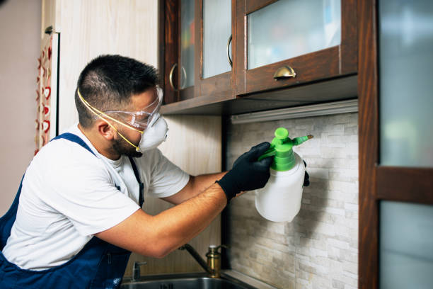 Best Pest Control Cost  in Humansville, MO