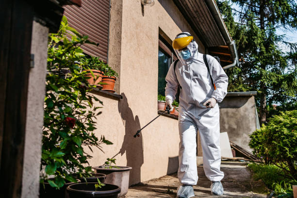 Best Termite Control Services  in Humansville, MO