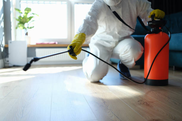 Best Best Pest Control Companies  in Humansville, MO