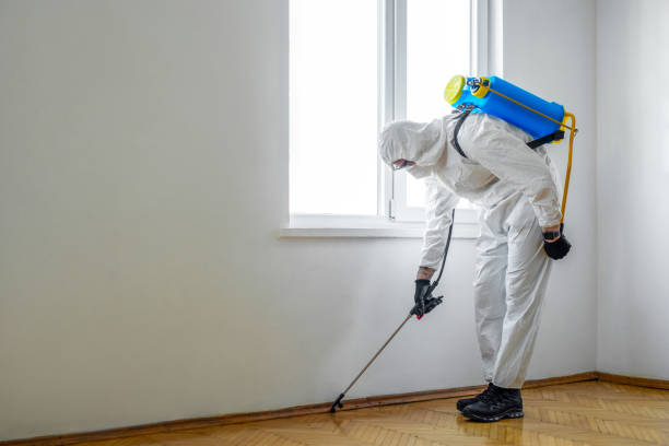 Best Wasp Removal Services  in Humansville, MO